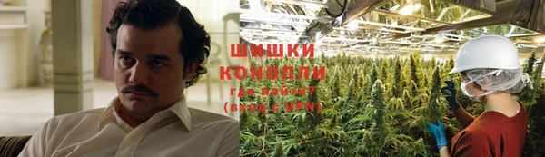 СК Дмитров