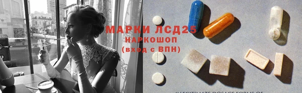 сатива Дмитровск