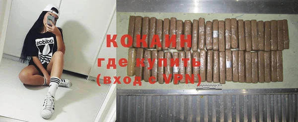 твердый Дмитриев