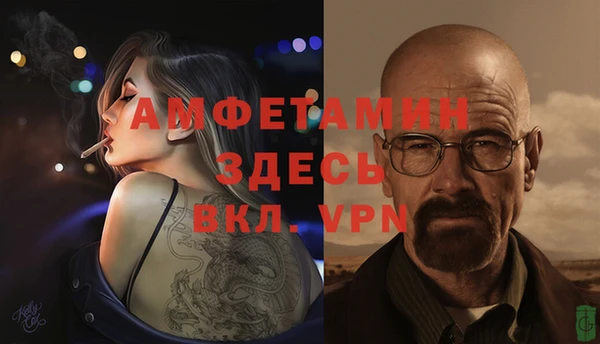 твердый Дмитриев