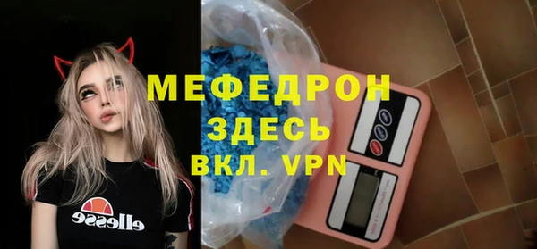 сатива Дмитровск