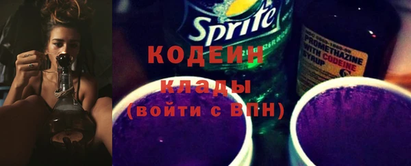 сатива Дмитровск