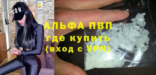 СК Дмитров
