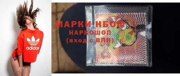 сатива Дмитровск