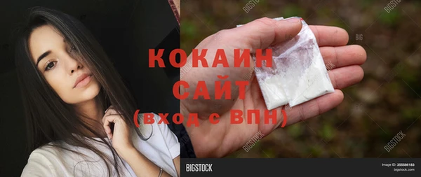 сатива Дмитровск