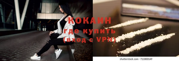 твердый Дмитриев