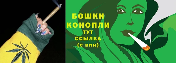 сатива Дмитровск