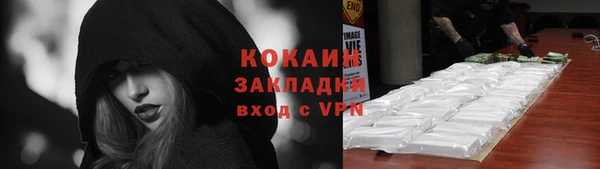 твердый Дмитриев