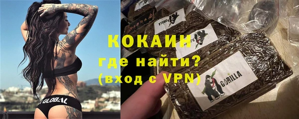 сатива Дмитровск