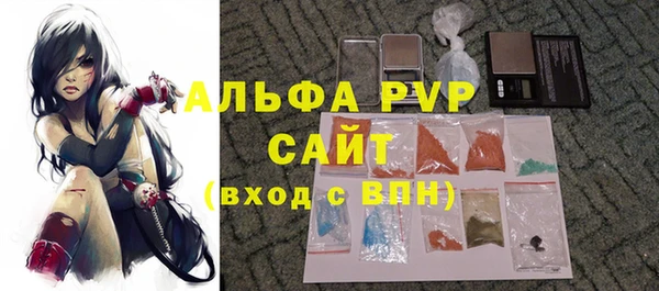 СК Дмитров