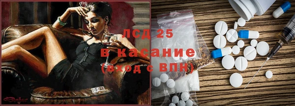 сатива Дмитровск