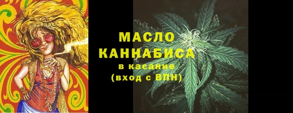 сатива Дмитровск