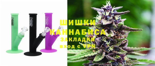 твердый Дмитриев