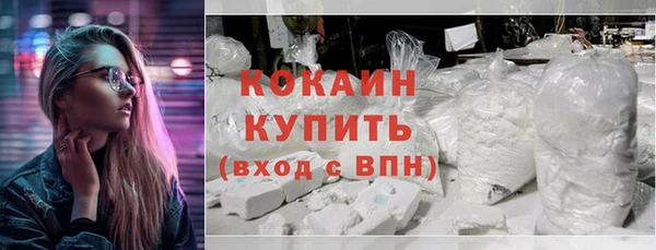 сатива Дмитровск