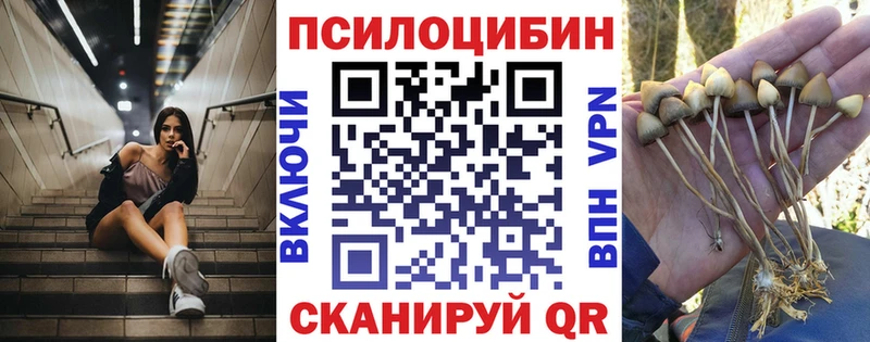 Псилоцибиновые грибы MAGIC MUSHROOMS  Сочи 